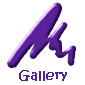 soft gallery