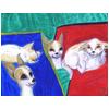 GIDGET AND T.J. LAYING AROUND 9X12 ACRYLICS - a couple of views of my chihuahuas