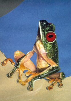 Detail from "The frog triptyque"