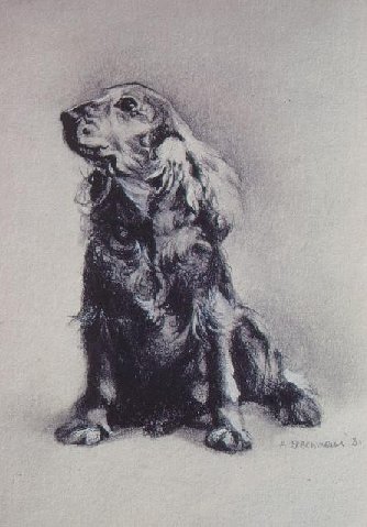 "Flip mon chien - Flip my dog" (1981)  by Arlette Steenmans