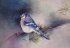 "Oiseau - bird" (25kb)  by Arlette Steenmans