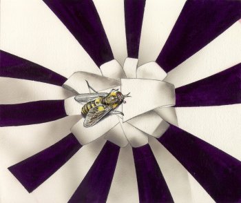 "L'abeille - The bee" (1998)  by Arlette Steenmans