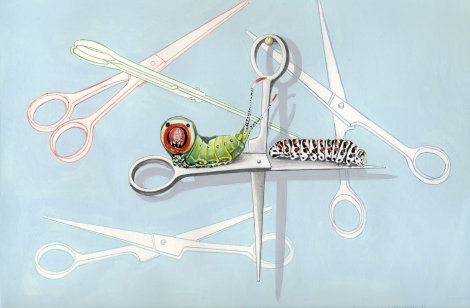 "Ciseaux de chenille - Caterpiller scissors" (1998)  by Arlette Steenmans