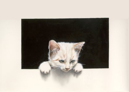 "Le chat blanc - The white cat" (1999)  by Arlette Steenmans