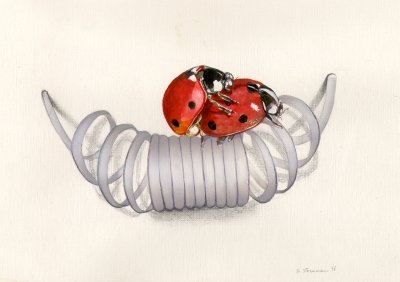 "Les coccinelles - The ladybirds" (1999)  by Arlette Steenmans