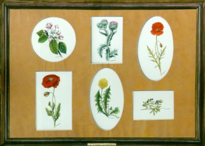 "Collection de fleurs - Flower collection" (1999)  by Arlette Steenmans