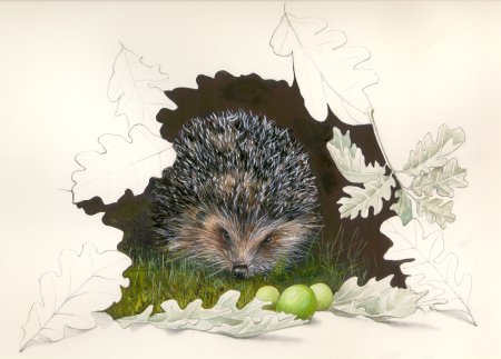 "L'hrisson - The hedgehog" (1999)  by Arlette Steenmans