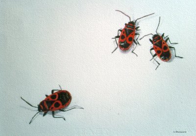 Trio de ncrophores - Trio of burying-beetles (1993) by Arlette Steenmans