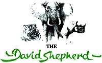 The Artist David Shepherd