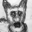 Baloo...my 1st GSD! I miss him a lot.....Click for full image!
