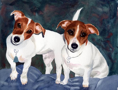 Jack Russell Terriers(Click Here to go to Next Page)