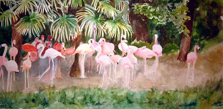 Flamingos in New Orleans