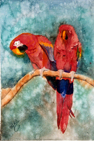 Parrots (click here for next page)
