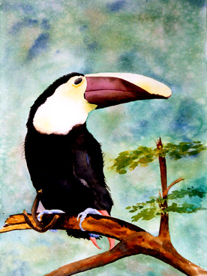 Toucan(Click to go to previous page)