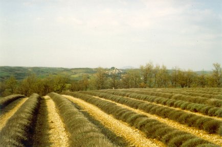 Les environs