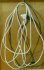 "Haute tension - High voltage" (23kb)&nbsp; by Arlette Steenmans