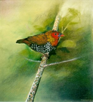 "Oiseau - Bird" (1990)&nbsp; by Arlette Steenmans