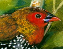 "Oiseau - Bird" (1990)&nbsp; by Arlette Steenmans