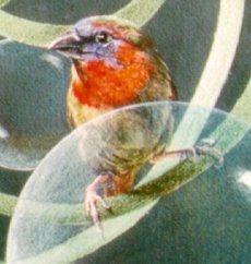 La perp�tuation - The procreation (1994) detail