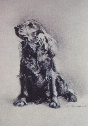 "Flip mon chien - Flip my dog" (1981)&nbsp; by Arlette Steenmans