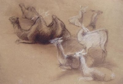 "Etudes - Studies" (1980)&nbsp; by Arlette Steenmans
