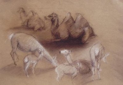 "Etudes - Studies" (1980)&nbsp; by Arlette Steenmans