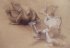 P"Etudes - Studies" (18 + 21 + 18 kb)&nbsp; by Arlette Steenmans