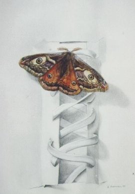 "Papillon - Butterfly" (1994)&nbsp; by Arlette Steenmans