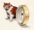"Le chat - The cat" (24kb)&nbsp; by Arlette Steenmans