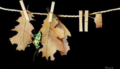 "Les feuilles mortes - Dead leaves" (1977-1998)&nbsp; by Arlette Steenmans
