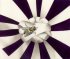 "L'abeille - The bee" (21kb)&nbsp; by Arlette Steenmans