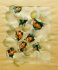 "Bouillonnant - Bubbles" (22kb)&nbsp; by Arlette Steenmans