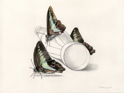"Papillons et bouteille - Butterflies and bottle" (1998)&nbsp; by Arlette Steenmans