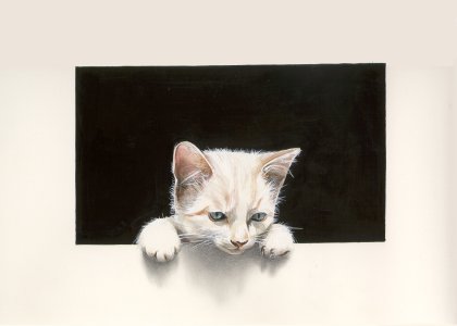 "Le chat blanc - The white cat" (1999)&nbsp; by Arlette Steenmans