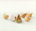 "Les Oeufs - The Eggs" (11 kb)&nbsp; by Arlette Steenmans