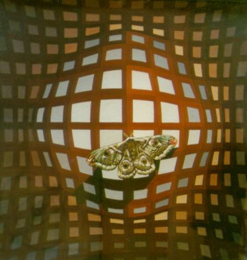 "Papillon Zafferelli - Zafferelli Butterfly" (1999)&nbsp; by Arlette Steenmans