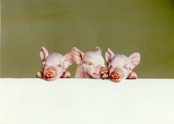 "Les trois porcelets - The three piglets" (1999)&nbsp; by Arlette Steenmans