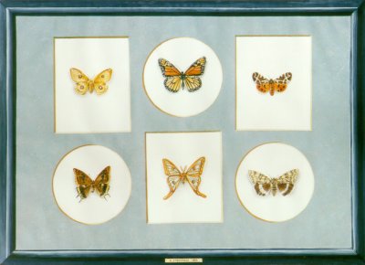 "Collection de papillons - Butterfly collection" (1999)&nbsp; by Arlette Steenmans