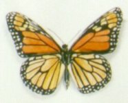 "Collection de papillons - Butterfly collection" (1999)&nbsp; by Arlette Steenmans