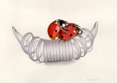 "Les coccinelles - The ladybirds" (1999)&nbsp; by Arlette Steenmans