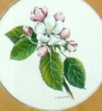 "Collection de fleurs - Flower collection" (1999)&nbsp; by Arlette Steenmans