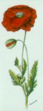 "Collection de fleurs - Flower collection" (1999)&nbsp; by Arlette Steenmans