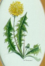 "Collection de fleurs - Flower collection" (1999)&nbsp; by Arlette Steenmans