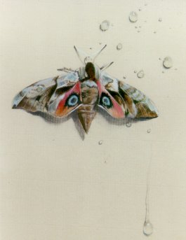 "Soif - Thirst" (1984)&nbsp; by Arlette Steenmans