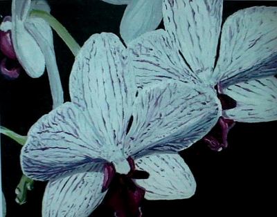 Orchid